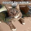 Shit memes by 17