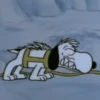 🐾Snoopy enojado 😡 3 🦴 22