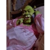 Shrek Glamour 10