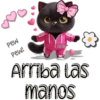 Alma Arriba las manos