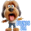 Buenos días 12 Cachorros 🇲🇽 16