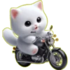 Gatito Blanco🎀💞1🇵🇪Clásica 22