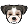 Toby 21