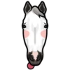 Leo 6