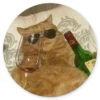 Stupid Cats 2 20