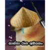 Meme Stickers (English & Sinhala) - #1 💥 21