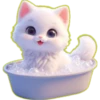 Gatito Blanco🎀💞1🇵🇪Clásica 23