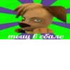 Shit memes by 20