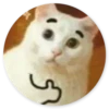 Stupid Cats 2 21