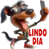 Buenos días 12 Cachorros 🇲🇽 17