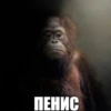 Shit memes by 21