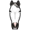 Leo 8