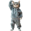 Gatos 8 👩🏻‍🎨 Img.1712 21