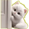 Gatito Blanco🎀💞1🇵🇪Clásica 24