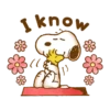 Lovely Snoopy 2💖 C☆ 14
