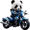 Panda 6 👩🏻‍🎨 Img.1712 16