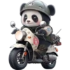 Panda 6 👩🏻‍🎨 Img.1712 17