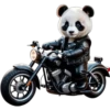 Panda 6 👩🏻‍🎨 Img.1712 19