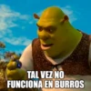 TAL VEZ NO FUNCIONA EN BURROS