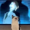 Gato otaku