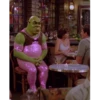 Shrek Glamour 13