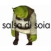 mi amazo ▭si ▭no risp 14