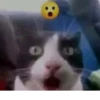 Shit memes by 27