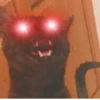 Más y más gatitos 25