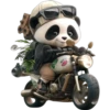 Panda 6 👩🏻‍🎨 Img.1712 23