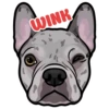 Wynn 9