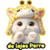 Gato loquillo💞1🇵🇪Clásica 22