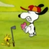 🐾Snoopy enojado 😡 3 🦴 28