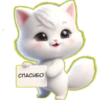 Gatito Blanco🎀💞1🇵🇪Clásica 27
