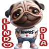 Buenos días 12 Cachorros 🇲🇽 27
