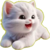Gatito Blanco🎀💞1🇵🇪Clásica 28