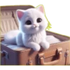 Gatito Blanco🎀💞1🇵🇪Clásica 29