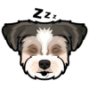 Toby 29