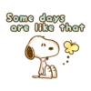 Lovely Snoopy 2💖 C☆ 20