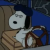 🐾Snoopy enojado 😡 3 🦴 30