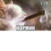 НОРМИК