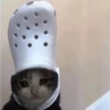 Sad and depressed cats 8