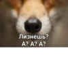 Лизнешь? А? А? А?