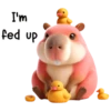 Capibara 1💖 C☆ 6