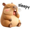 Capibara 1💖 C☆ 7