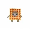 cats 8