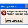 Wacugadu.exe X Wacugadu not responding. Akanam cupiri gok ekak Amo Amo OK