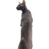 bro cat 5
