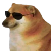 Perrito Sugoi 6