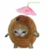 cats 12