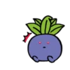 24/7 Pokémon 6